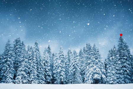 Idyllic snowy winter scene: snowcapped trees with falling snowflakes.