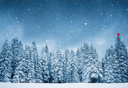 Idyllic snowy winter scene: snowcapped trees with falling snowflakes.