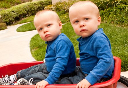 Twins
