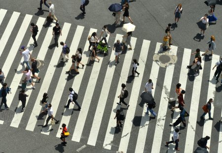 Japanese citizens crossing Shibuya Intersection on a hot summerday in Tokyo, Japan