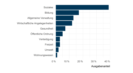 Abbildung 1: Anteile der Ausgabekategorien an den gesamten Staatsausgaben (2019)